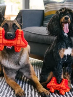 Jouet en peluche pour chien - Pont de San Francisco 🌉 - Pet PLAY