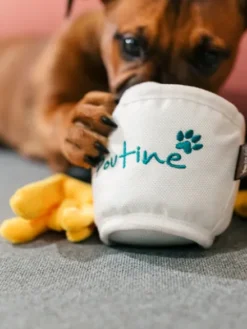 Jouet en peluche pour chien - Poutine - Pet PLAY x Earth Rated