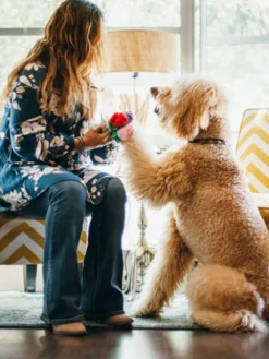 Jouet en peluche pour chien - Puppy Love - Bouquet de fleurs - Pet PLAY