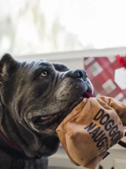 Jouet en peluche pour chien - Sac de charbon 🎅- Home for the Holidays Pet PLAY