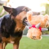 Jouet en peluche pour chien - Spiked by P.L.A.Y Spiff le chien - Pet PLAY