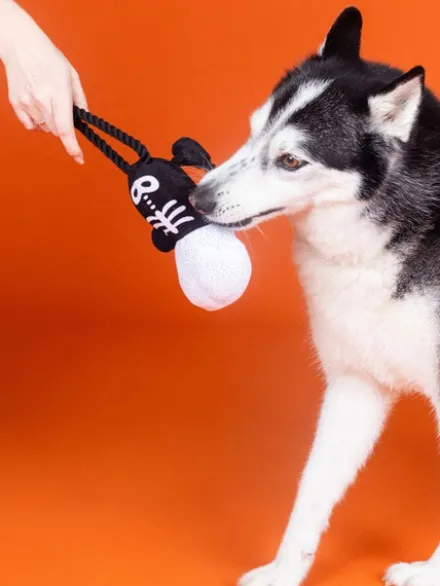 Jouet en peluche pour chien - Squelette 💀 - Fringe PetShop