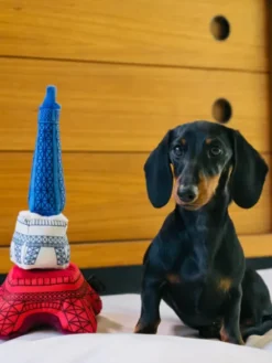 Jouet en peluche pour chien - Tour Eiffel 🥖 - Pet PLAY