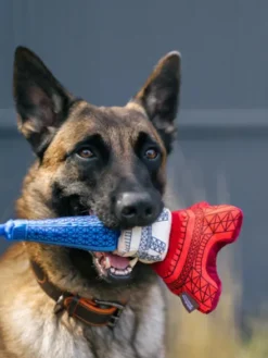 Jouet en peluche pour chien - Tour Eiffel 🥖 - Pet PLAY