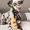 Jouet en peluche pour chien - Tropical Paradise - Cerveza Canine 🍺 - Pet PLAY