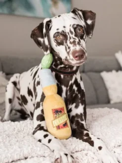 Jouet en peluche pour chien - Tropical Paradise - Cerveza Canine 🍺 - Pet PLAY