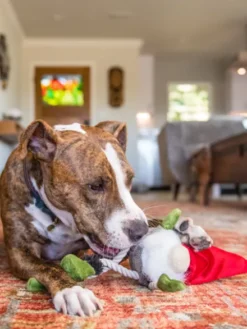 Jouet en peluche pour chien - Willow's Mythical - Gnome - Pet PLAY