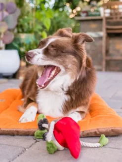 Jouet en peluche pour chien - Willow's Mythical - Gnome - Pet PLAY