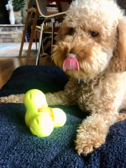 Jouet à garnir pour chien - Tux Zogoflex Bleu - Eco-friendly