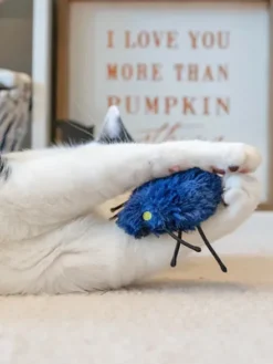Jouet Halloween pour chat - Creepy Critters - Herbe à chat biologique - Pet PLAY