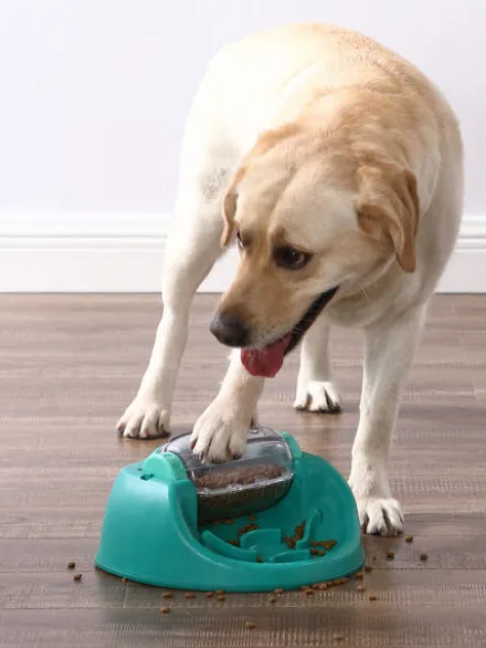 Jouet interactif distributeur de friandises pour chien - Spin N' Eat