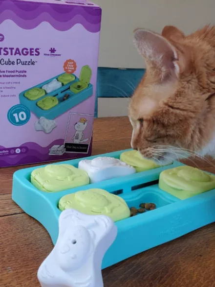 Jouet interactif pour Chat - Kitty cubes - Catstages Nina Ottosson