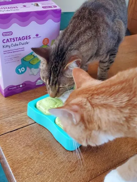 Jouet interactif pour Chat - Kitty cubes - Catstages Nina Ottosson