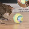 Jouet interactif pour Chat - Twist-A-Ball Track - Catstages