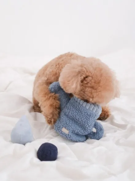 Jouet interactif pour chien - Arrosoir - Lambwolf collective