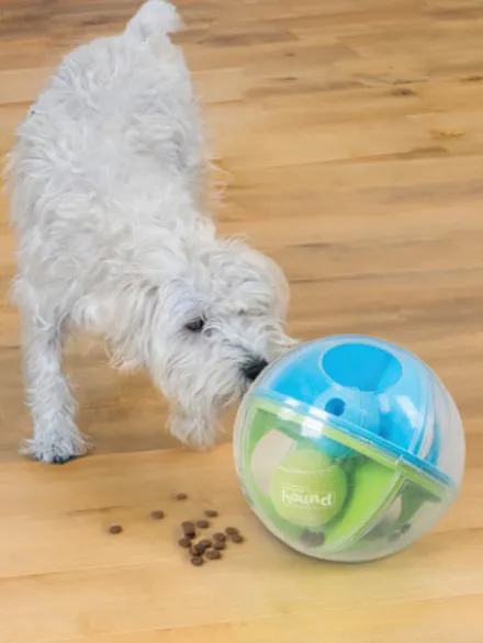 Jouet interactif pour chien - A-Maze ball - Niveau 2
