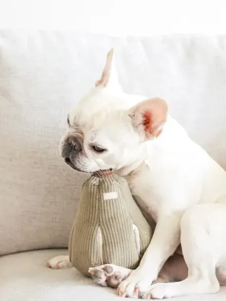 Jouet interactif pour chien - Butternut Nosework