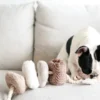 Jouet interactif pour chien - Blocs Nosework - Nude