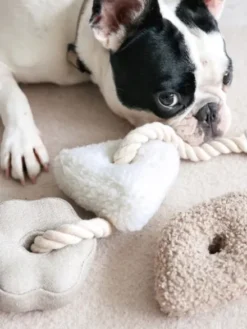 Jouet interactif pour chien - Blocs Nosework - Nude