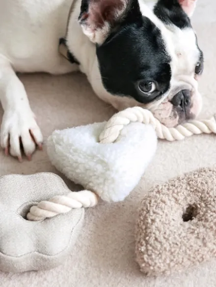 Jouet interactif pour chien - Blocs Nosework - Nude