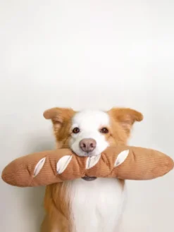Jouet interactif pour chien - Baguette