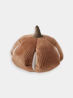 Jouet interactif pour chien - Cinderella Nosework
