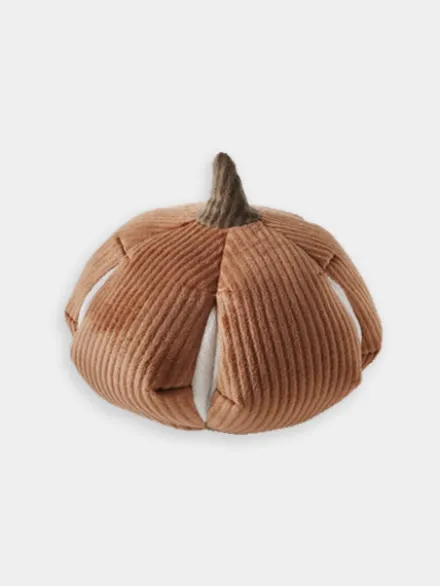 Jouet interactif pour chien - Cinderella Nosework