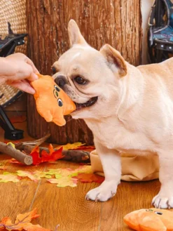 Jouet interactif pour chien - Feuille d'Automne 🍁🍂 - HugSmart