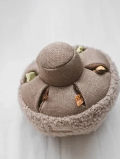Jouet interactif pour chien - Mushroom Nosework