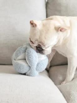 Jouet interactif pour chien - Monti - Bleu Ciel