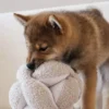 Jouet interactif pour chien - Monti - Avoine