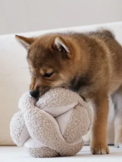 Jouet interactif pour chien - Monti - Avoine