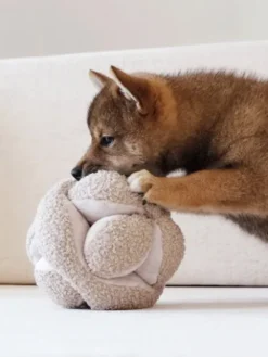 Jouet interactif pour chien - Monti - Avoine