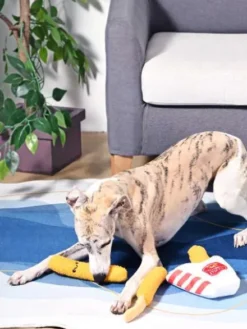 Jouet interactif pour chien - Mozza sticks 🍕 - HugSmart