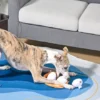 Jouet interactif pour chien - Ravioli chinois 🥟🥢 - HugSmart
