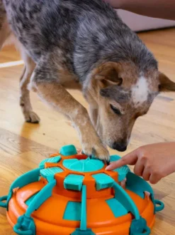 Jouet interactif pour chien - Tower Of Treats (Niv 4) - Nina Ottosson