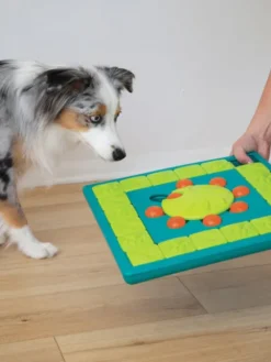 Jouet interactif / puzzle pour chien - MultiPuzzle - Niveau 4