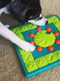 Jouet interactif / puzzle pour chien - MultiPuzzle - Niveau 4