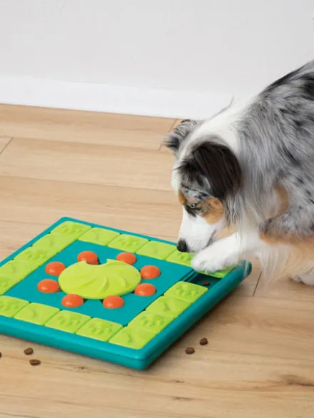 Jouet interactif / puzzle pour chien - MultiPuzzle - Niveau 4