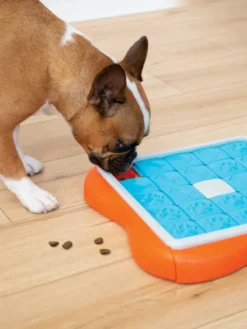 Jouet interactif / puzzle pour chien - Challenge Slider - Niveau 3