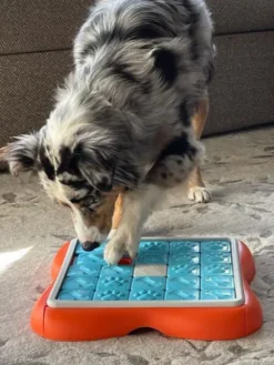 Jouet interactif / puzzle pour chien - Challenge Slider - Niveau 3
