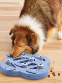 Jouet interactif / puzzle pour chien - Hide N Slide - Niveau 2