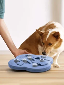 Jouet interactif / puzzle pour chien - Hide N Slide - Niveau 2