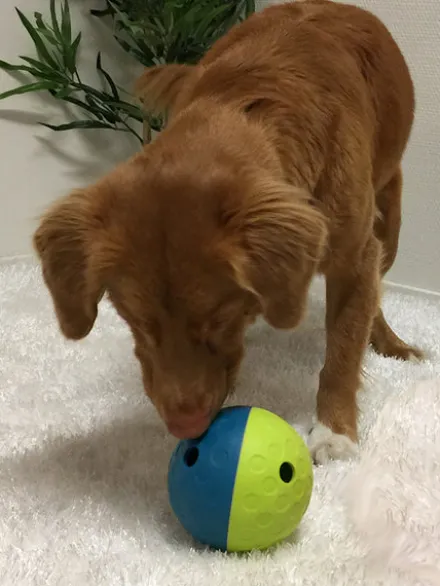 Jouet interactif / puzzle pour chien - Treat Tumble S - Niveau 1