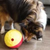 Jouet interactif / puzzle pour chien - Treat Tumble L - Niveau 1