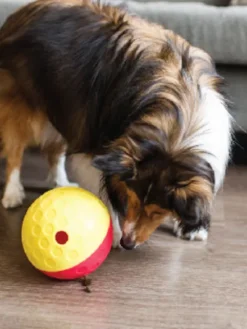 Jouet interactif / puzzle pour chien - Treat Tumble L - Niveau 1