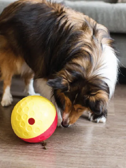 Jouet interactif / puzzle pour chien - Treat Tumble L - Niveau 1