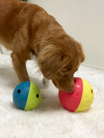 Jouet interactif / puzzle pour chien - Treat Tumble L - Niveau 1