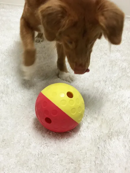Jouet interactif / puzzle pour chien - Treat Tumble L - Niveau 1