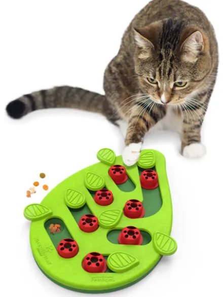 Jouet interactif / puzzle pour Chat - Buggin' Out - Niveau 2
